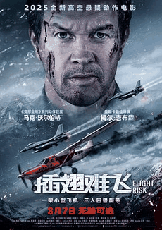 达达兔电影网_《插翅难飞》电影海报在线看